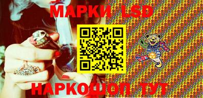 стаф Сланцы