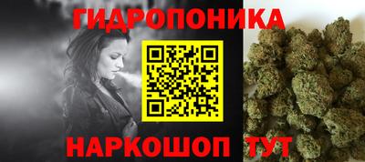 стаф Сланцы