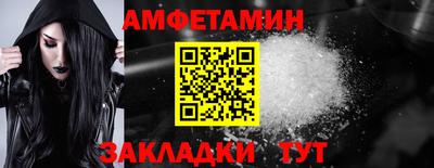 стаф Сланцы