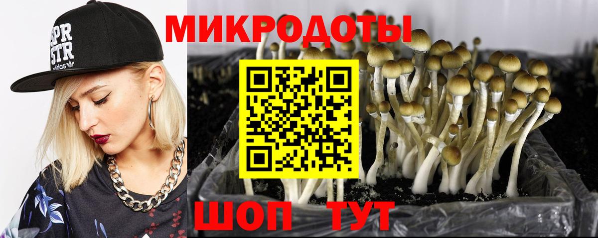 Псилоцибиновые грибы мицелий Артём